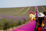 Défilé Jacquemus