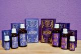 Huiles essentielles de lavande