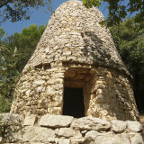 Le bori