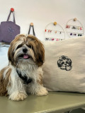 broderie coussin chien