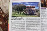 article