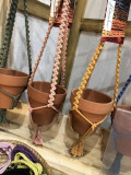 Vases