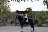 Aigles du verdon