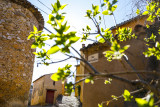 Visite libre de Vinon-sur-Verdon