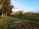 Parc