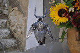 Gouiran
