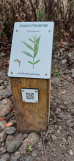 Panneau botanique avec QR code