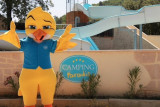 Camping Paradis la Pinède