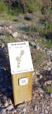 Borne botanique thym vulgaire