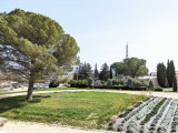 Vue de la terrasse