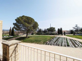 Parc arboré