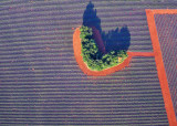 Coeur de lavande