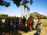 Les colonnes romaines à Riez