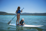 Paddle