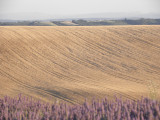 Le Castellet