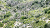 Parcours VTT Sainte-Tulle