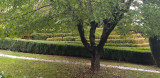 LE PARC