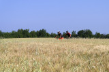 Site VTT FFC-Pays d'Oraison-Coeur de Durance-Circuit 1-Vert-Oraison_Oraison