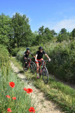 Site VTT FFC-Pays d'Oraison-Coeur de Durance-Circuit 6-Noir-Oraison_Oraison
