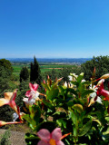 Vue panoramique
