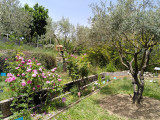Jardin botanique