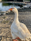 Corbi Park_Corbières