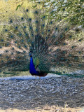 Corbi Park_Corbières