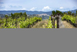 Château Rousset