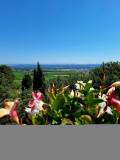 Vue panoramique