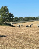 762e9055e503bf8aa0d759c65b28103e.jpg 762e9055e503bf8aa0d759c65b28103e.jpg