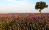 plateauvalensole9.jpg plateauvalensole9.jpg