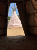 Tipi