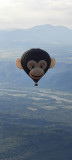 Montgolfière singe