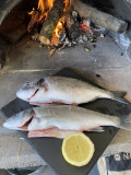 Poissons grillées au feu de bois