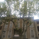 Façade de la maison de Damase Arbaud