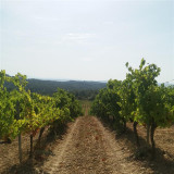 Itinéraire pédestre Pierrevert