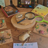 animations pédagogiques