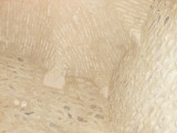 Plafond avec culs de lampe