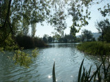 Lac de pêche des Buissonnades à Oraison