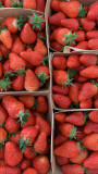 Fraises - © DR La Maison de Marius Fraises