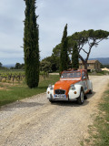 2CV balade en Provence