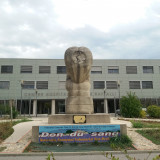 Sculpture