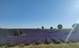 01ae684eadcca126e978cf9b24587e8c.jpg 01ae684eadcca126e978cf9b24587e8c.jpg