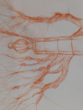 Dessin d'observation sanguine