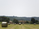 Foin