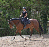 Centre équestre Mini-Ranch