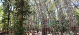 Accro Adventure Accro Adventure
