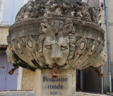 Détail lion