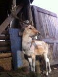 Ferme pédagogique la Bohème