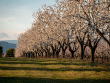 Domaine Les Grandes Marges Domaine Les Grandes Marges